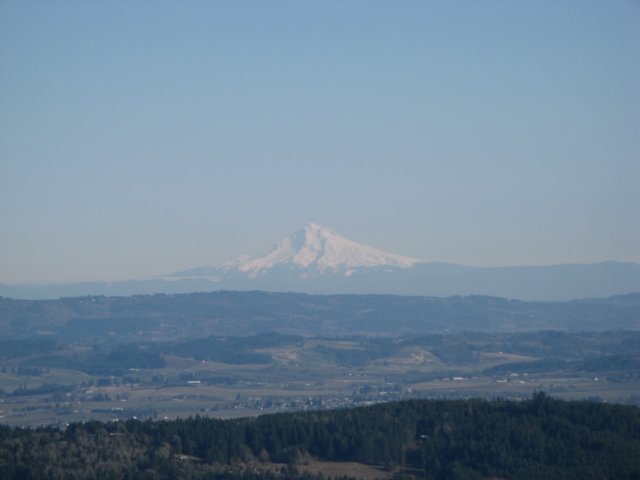 mthood.jpg